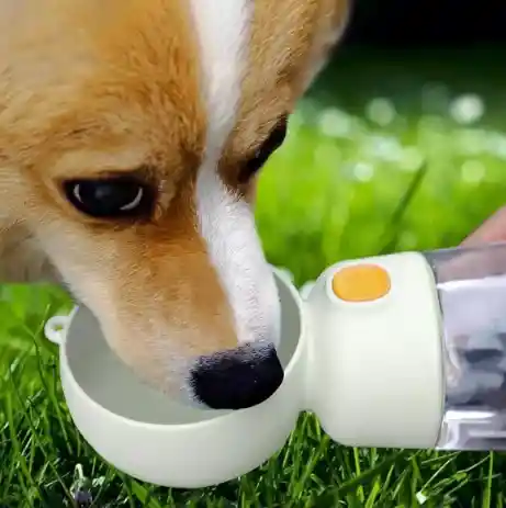 Botella De Agua Para Perros Portátil Con Botón