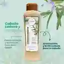 Acondicionador Romero Anyeluz
