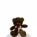 Peluche Oso Chocolate - Alto 20 Cms
