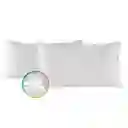 Set X 2 Almohadas Siliconada Hogareto 90x50 Cm Blanco