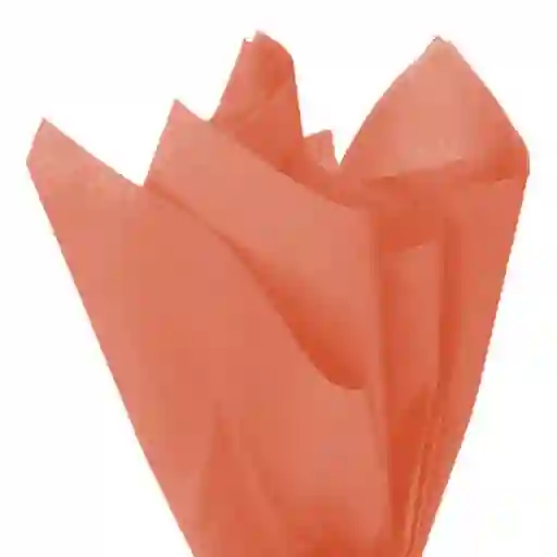 Papel Seda Salmon O Papelillo