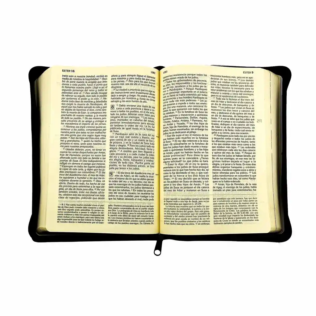 Biblia Latinoamericana Letra Grande Estuche Cremallera