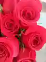 Paquete De Rosas Rojas