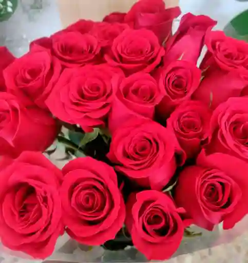 Paquete De Rosas Rojas