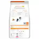 Hill's C/d Multicare Alimento Seco Para Perros 1.5 Kg