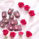 Dilatador Anal
