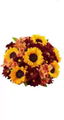Girasoles Y Margaritas Para Enamorar
