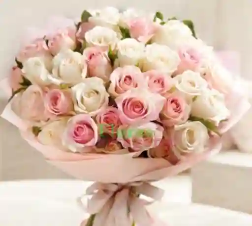 Rosas Para Enamorar
