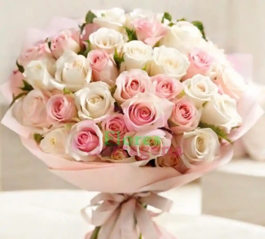 Rosas Para Enamorar