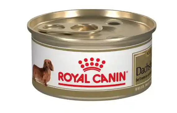 Royal Canin Dachshund Lata 3 Oz