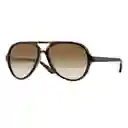 Gafas De Sol Ray Ban Aviador Cats 5000 Rb4125 710/51 Color Marron Talla 59mm