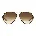 Gafas De Sol Ray Ban Aviador Cats 5000 Rb4125 710/51 Color Marron Talla 59mm