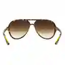 Gafas De Sol Ray Ban Aviador Cats 5000 Rb4125 710/51 Color Marron Talla 59mm