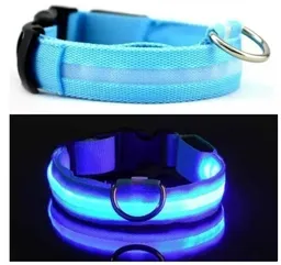 Collar Con Luz Led En Tela Con Bateria Talla Xl