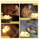 Luz De Noche Para Niños Cachorros Luz Nocturna Led 7 Colores