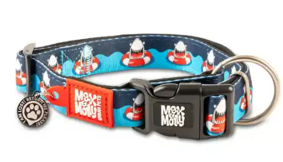 Max Molly Frenzy The Shark Collar Perro Large