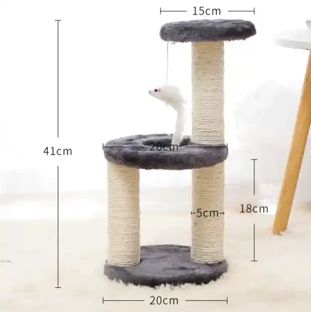 Gimnasio Pequeño Circular