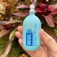 Perfume Diesel Blue Day For Women 75 Ml