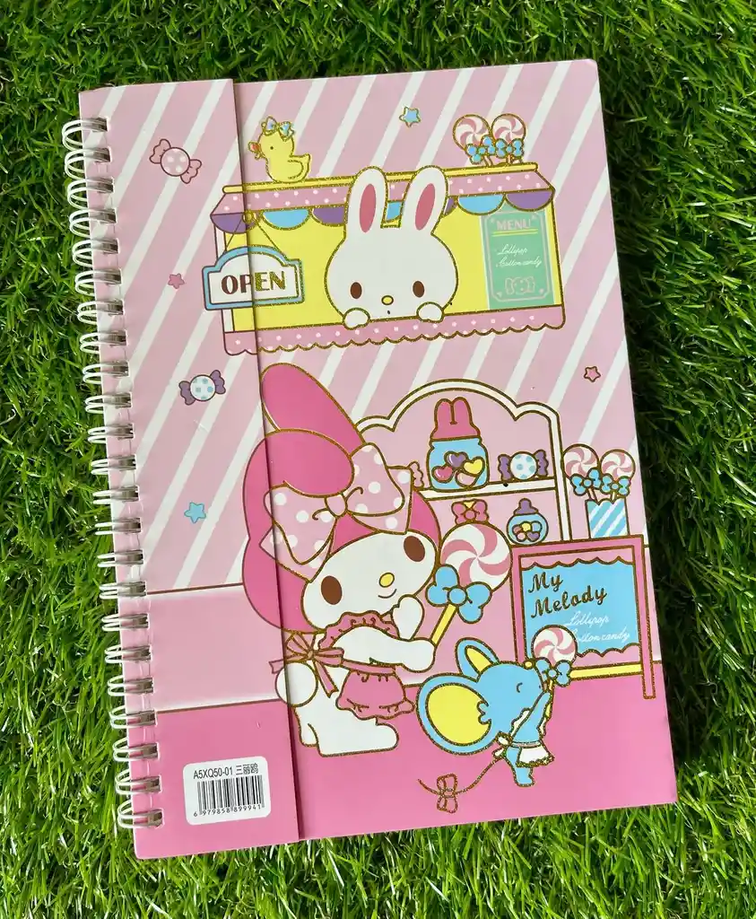 Agenda De My Melody - 100 Hojas