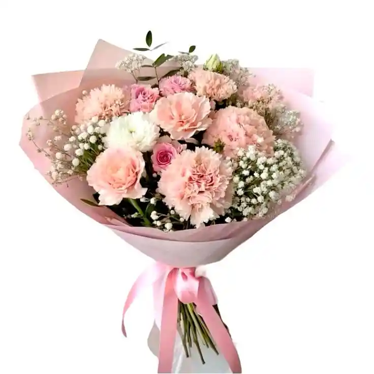 Flores De Claveles Y Rosas Rosadas