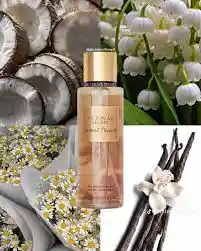 Splash Victoria's Secret Coconut Passion Body Mist (8.4 Oz)
