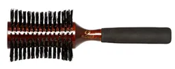 Blomer Cepillo Pro 100% Nylon 9816