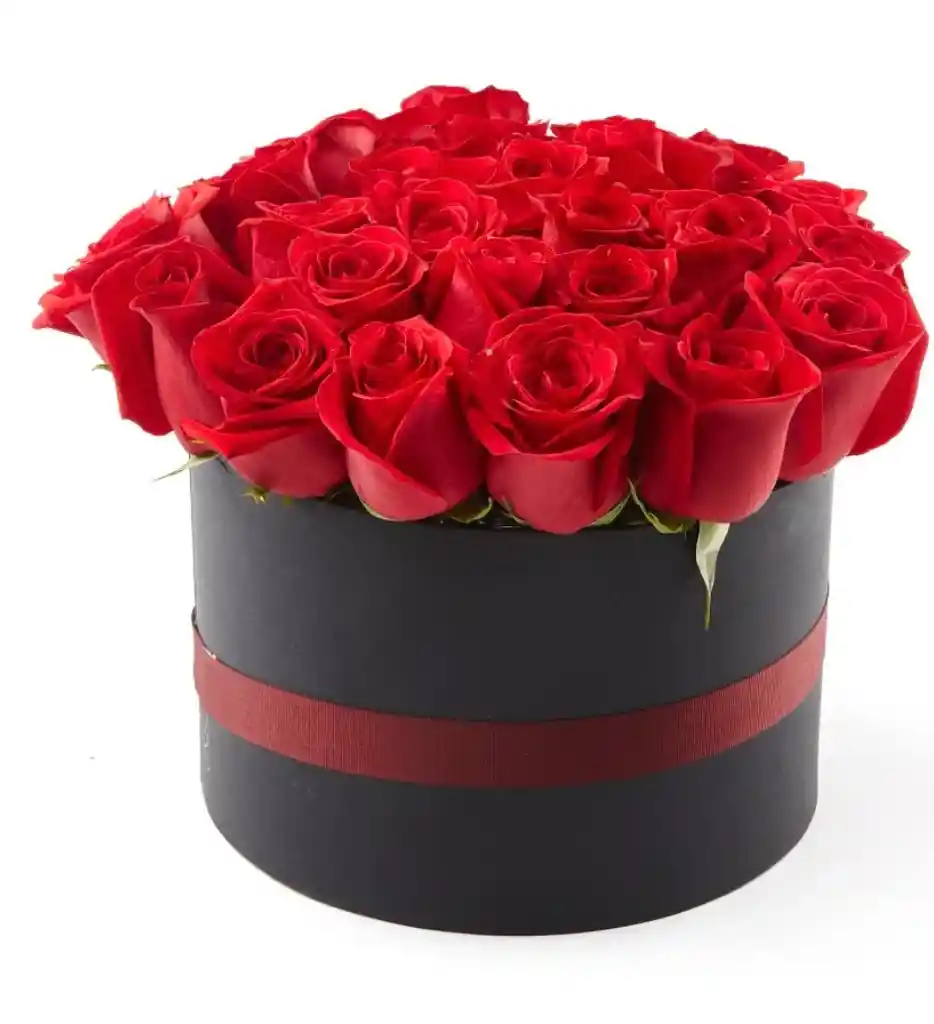 Caja De 24 Rosas Rojas