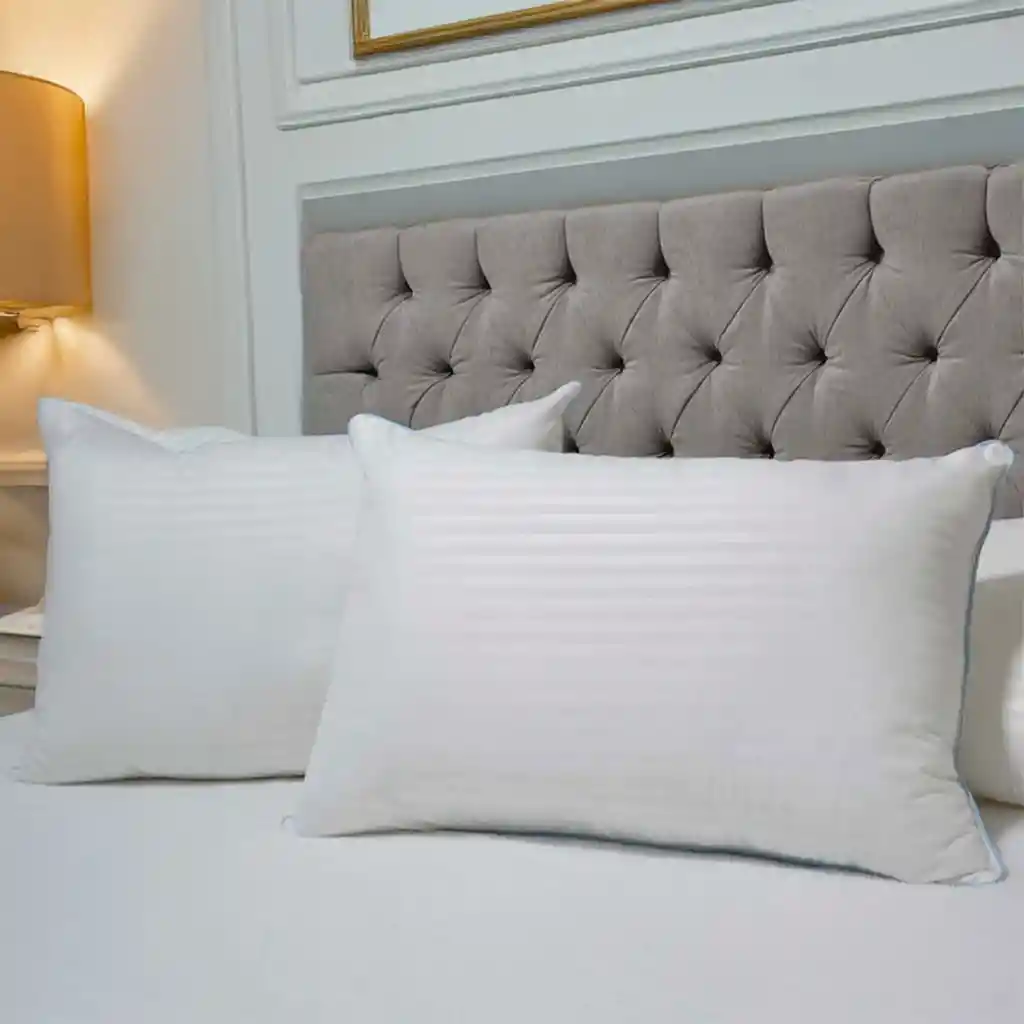 Set X 2 Almohadas Premium Hogareto - Calidad Y Descanso