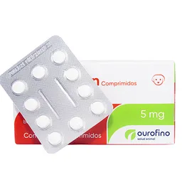 Predicorten Tabletas 5 Mg Blister X 10 Unidades