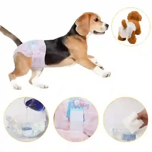 Pañal Desechable Para Mascota Hembra Por 10 Unds Talla S, M,
