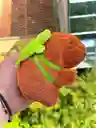 Peluche Llavero Capibara De 17cm