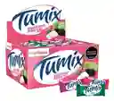 Chicles Tumix Surtido Frutal X100 U