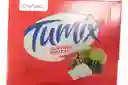 Chicles Tumix Surtido Frutal X100 U