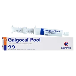 Galgocal Pool Antiparasitario Interno De Amplio Espectro