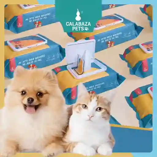 80 Pañitos Húmedos Para Mascota