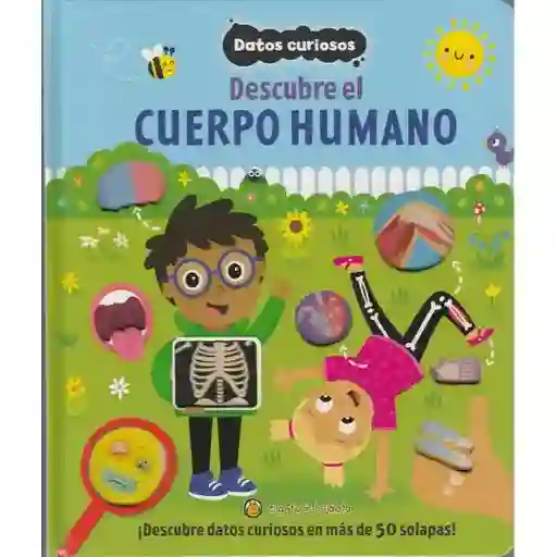 Datos Curiosos El Cuerpo Humano