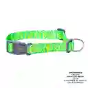 Collar Ajustable Mylu Talla S Verde Manzana 2ans