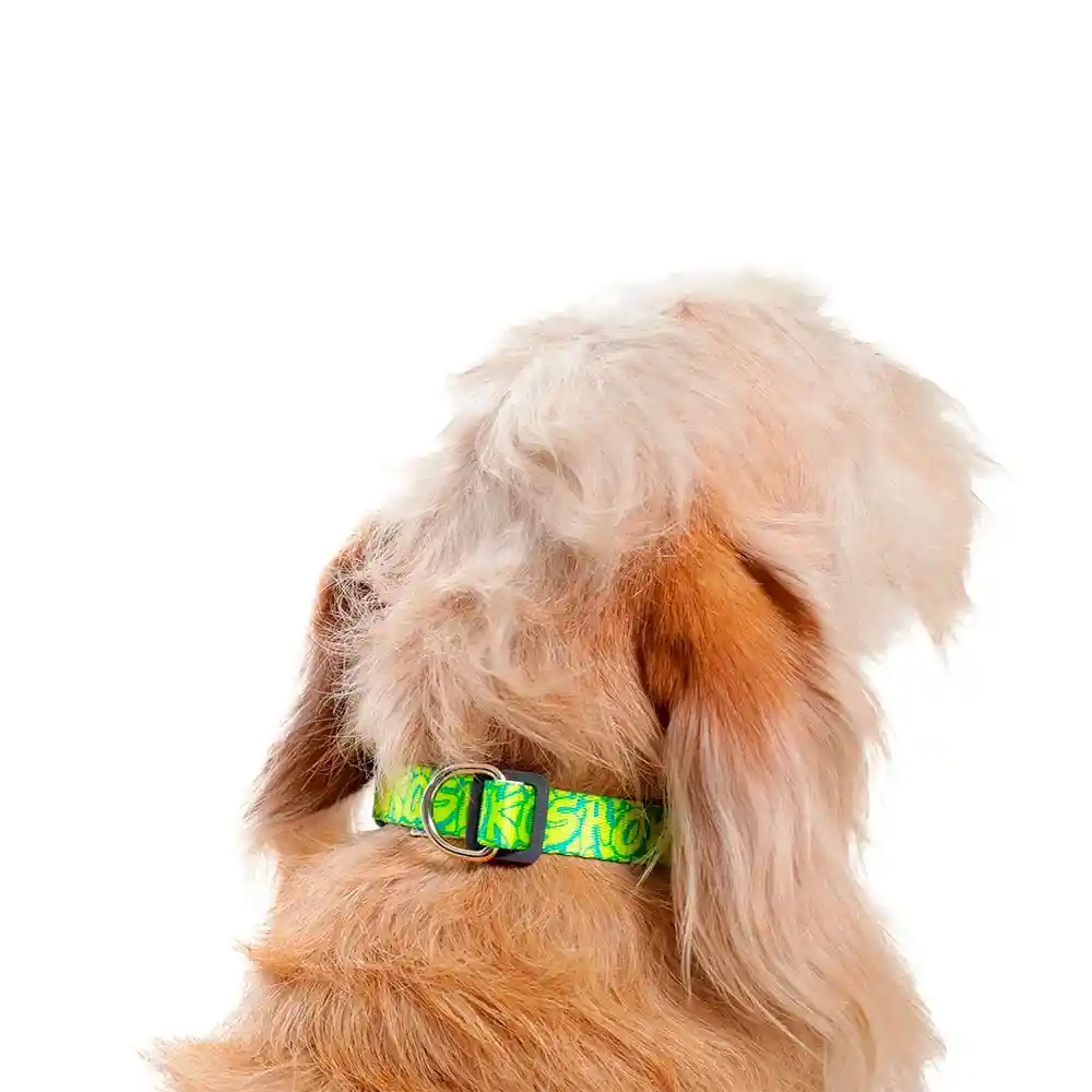 Collar Ajustable Mylu Talla Xl Verde Manzana 2anxl