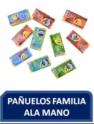 Pañuelos Familia A La Mano Und