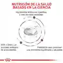 Royal Canin Hepatic Gato 2 Kg