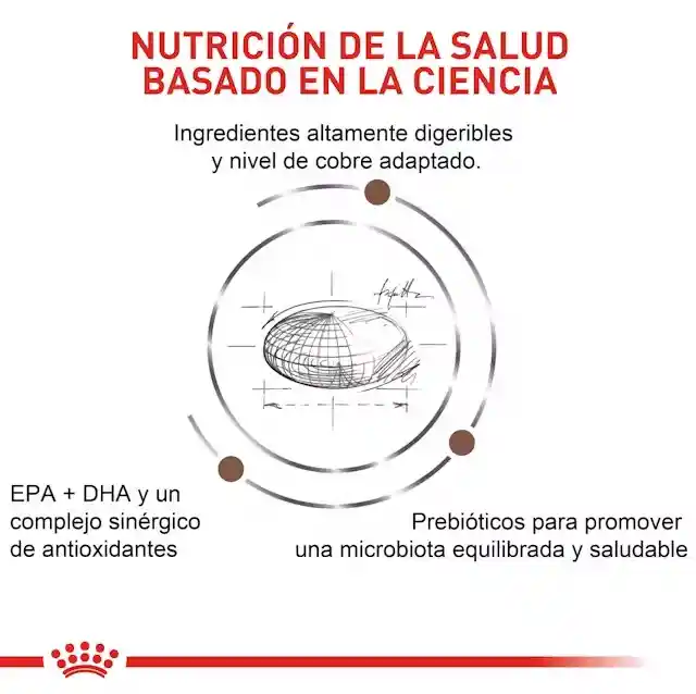 Royal Canin Hepatic Gato 2 Kg