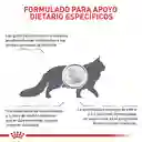 Royal Canin Hepatic Gato 2 Kg