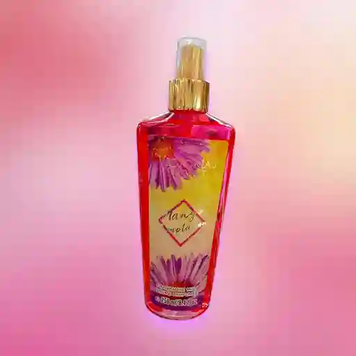 Splash Corporal Victoria´s Secret X 250 Ml Mango Temptation