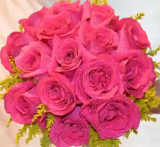 Rosas Fucsias Dulce Ocasión