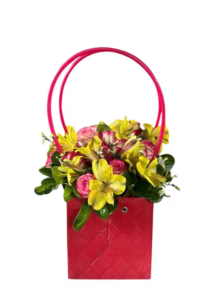 Cartera Floral Salva