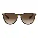 Gafas De Sol Ray Ban Erika Rb4171 865/13 Color Marron Talla 54mm