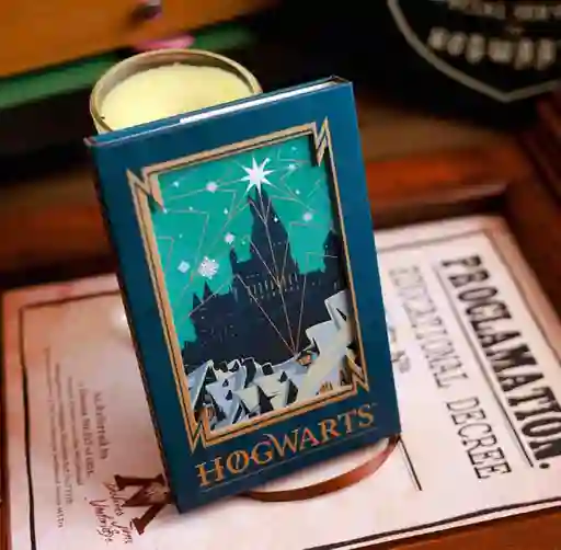 Agenda Harry Potter Castillo Hogwarts Broche Magnetico