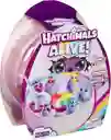 Hatchimals Alive Rainbow Hatchery