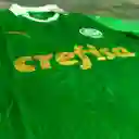 Uniforme Palmeiras