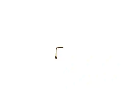 Piercing Nariz L